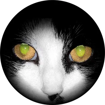 ЦЕНТРАЛЬНАЯ КРЫШКА запасного колеса Cat Eyes (нестандартного размера)